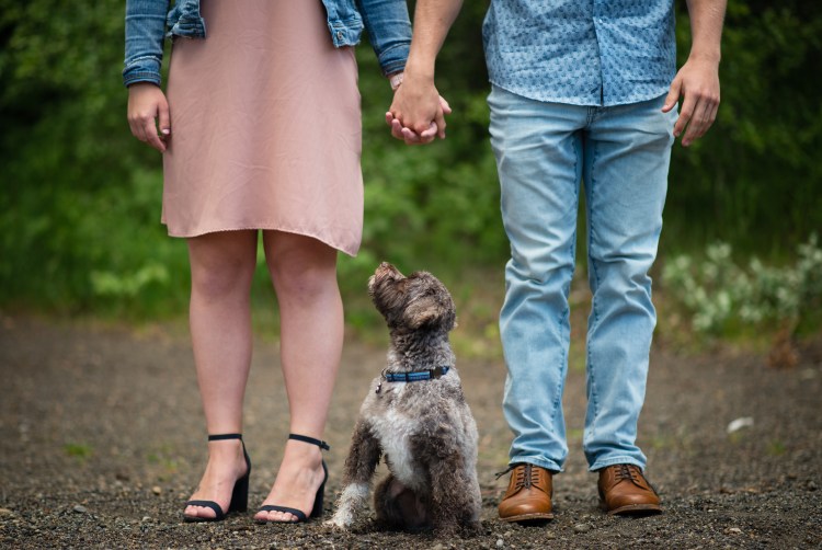 HansonEngagement-35